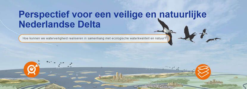Perspectief voor een veilige en natuurlijke Nederlandse Delta