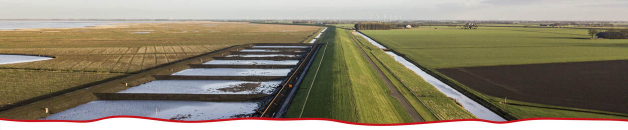 Brede groene dijk met kleidepot. Het kleidepot is op de kwelder tegen de dijk aangebouwd