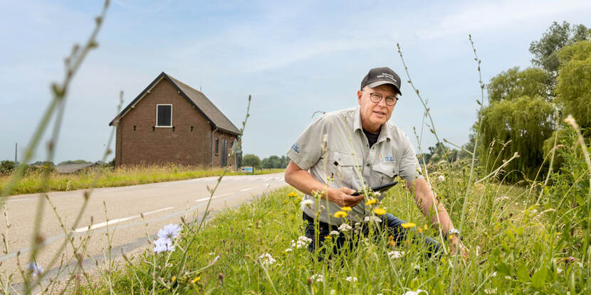 Collega van projectteam Grebbedijk