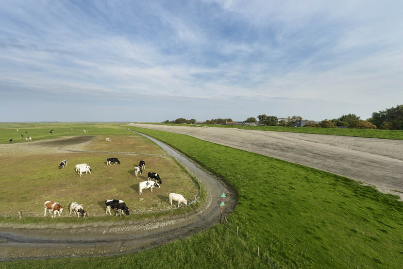 werk aan de dijk