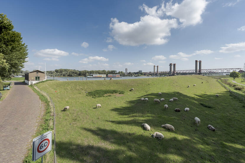 werk aan de dijk