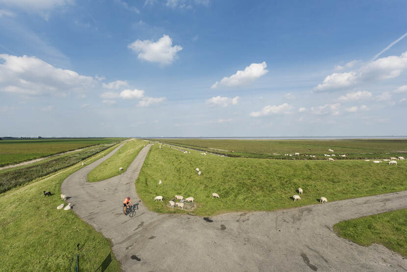 Dollarddijk