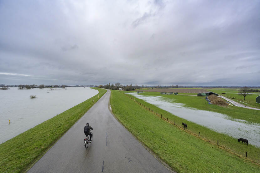 Pannerdense Waard - Westervoort