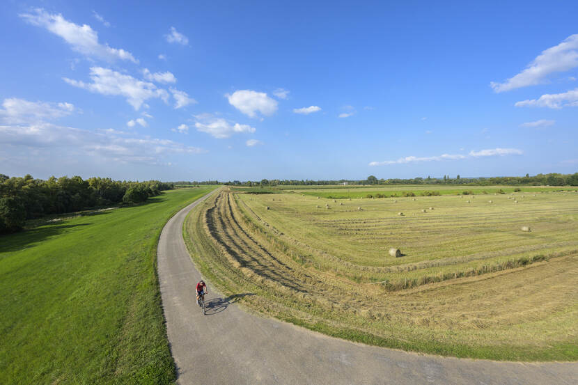 Tolkamer - Pannerdense Waard
