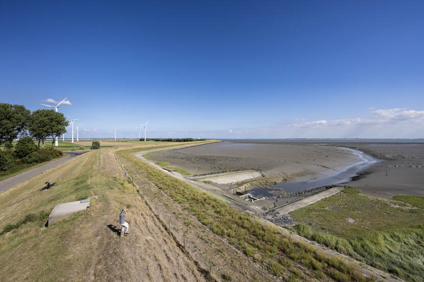 Natuurgebied Zak van Zuid-Beveland