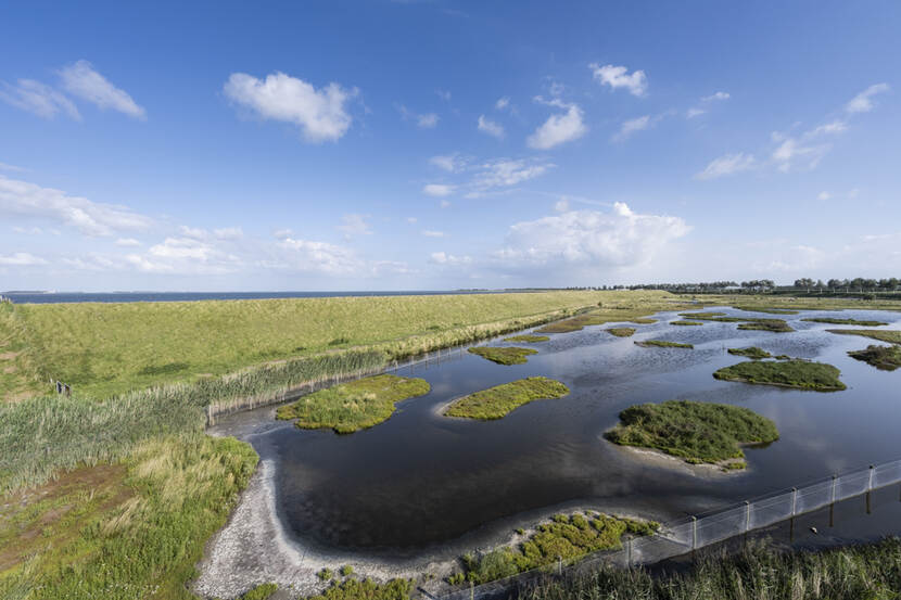 werk aan de dijk