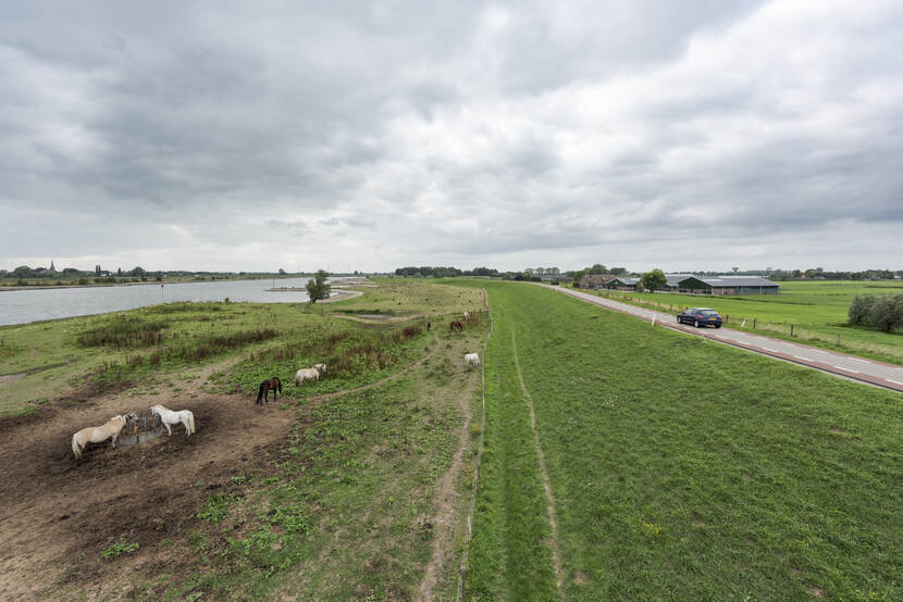 werk aan de dijk